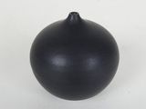 a black vase sitting on a white surface with a white background