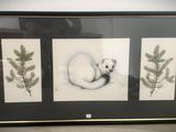la photo d'une photo représentant un panda dans un cadre