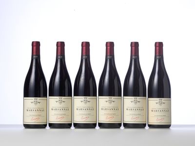 six bottles of red wine lined up in a row
