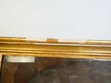 le reflet d'un chat dans un miroir accroché au mur