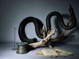 un serpent posé sur une table, à côté d'une bobine de fil