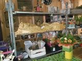 many different types of flowers and plants on the shelves