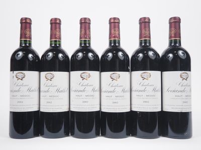 six bouteilles de vin rouge alignées sur une surface blanche