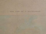 a sign on the wall that says the life of a bachelor