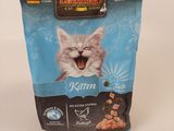 un sac de nourriture pour chat avec un chat la gueule grande ouverte