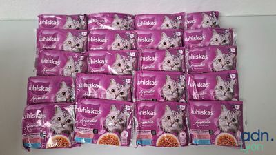 de nombreux sacs de nourriture pour chat posés sur une étagère