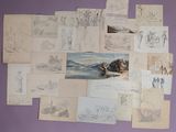 a lot of drawings on the wall of this room