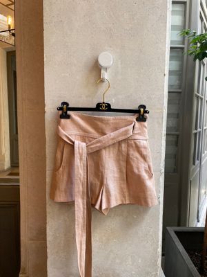 pink shorts hanging on a wall next to a potted plant