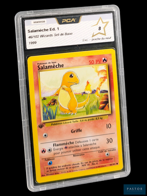 une image d'une carte Pokémon dans un étui en plastique