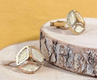 two rings that are sitting on top of a piece of wood
