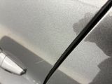 a cat that is sitting on the door of a car