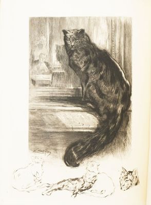 drawing of a cat sitting on a window sill looking out a window