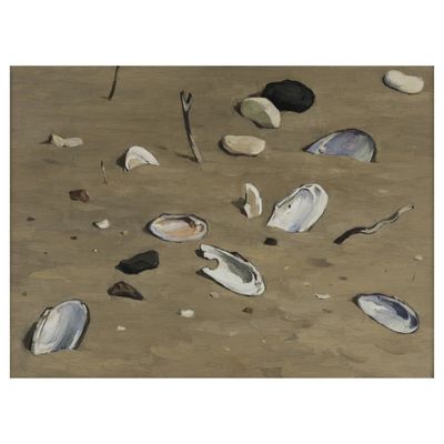 une peinture représentant des rochers et des coquillages sur la plage