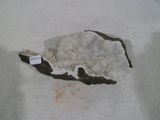a rock with a tag on it sitting on a table