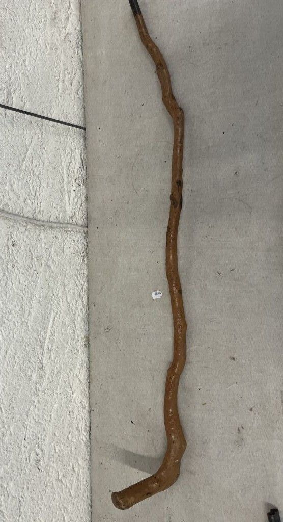 Bâton ou canne de marche rustique en bois verni. H : 87 cm