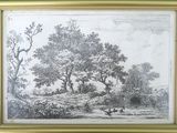 an image of a drawing of a wooded landscape with trees