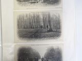 three black and white photographs of a man riding a horse in the woods