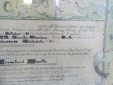 un vieux document sur lequel figure la photo d'une femme