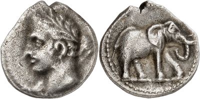 an image of a silver coin with an image of a man and an elephant on it