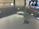 a reflection of a bird on the hood of a car