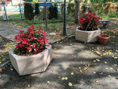 deux jardinières en béton contenant des fleurs rouges, posées sur le trottoir