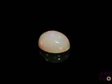 an oplite in the dark with a black background