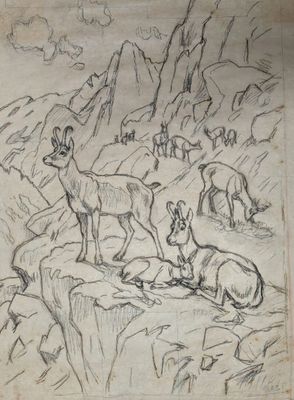 drawing of a herd of deer in a rocky landscape with mountains in the background