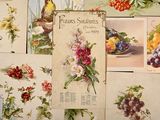 a lot of pictures of flowers and fruit on the wall