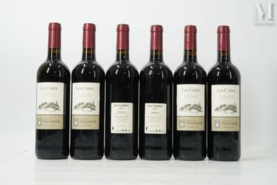 six bouteilles de vin rouge sont alignées sur une surface blanche