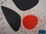 a picture of a red and black painting on a white wall