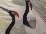 two birds that are standing in the grass together