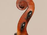 a close up of the back of a violin with a scroll