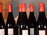 several bottles of red wine are lined up on a table