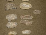 several different types of rocks and stones on a brown surface