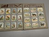 a book with pictures of animals and birds on it