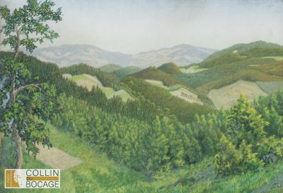 une image représentant un tableau représentant une vue sur une chaîne de montagnes