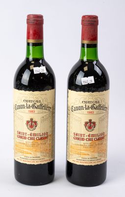 deux bouteilles de vin rouge posées l'une à côté de l'autre sur une surface blanche