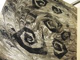 a black and white drawing on a piece of paper