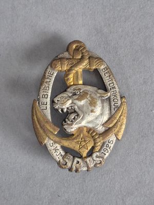 une image représentant une broche en argent et en or ornée d’un lion