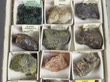 une boîte remplie de pierres sur lesquelles sont apposées des étiquettes