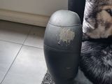 a dog that is sitting in a chair with a pillow