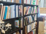 de nombreux livres sur la bibliothèque de la pièce