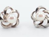 une paire de boucles d'oreilles en perles et en argent sur fond blanc