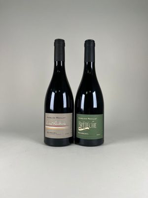 deux bouteilles de vin posées l'une à côté de l'autre sur une table