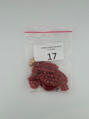 a bag of red beans in it on a table