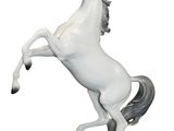 a white horse that is standing on its hind legs