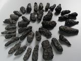 a lot of black rocks arranged in a circle