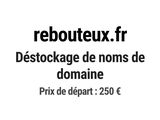 Photo 1/1 du lot