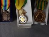 three medals in a box with ribbons and ribbons on them