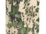 un vieux livre orné de feuilles de lierre sur fond blanc
